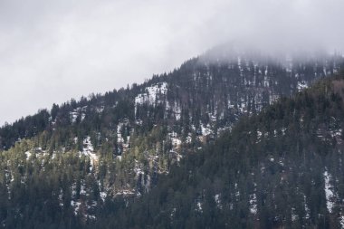 Daha fazla dağ kadar aşağı sis yuvarlanıp gidiyor iken bir ışık ışını bir yama orman aydınlatır