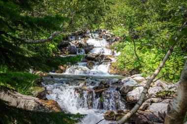Fırtınalı dağ nehir orman