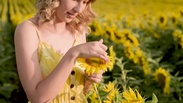 Közelkép egy gyönyörű, vidám kalapos lányról, aki egy napraforgós mezőn áll. — Stock videók