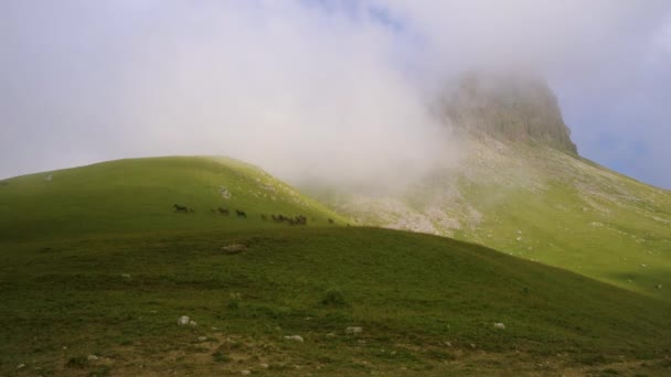 山中的夏日风景，乌云密布的深蓝色天空 — 图库视频影像