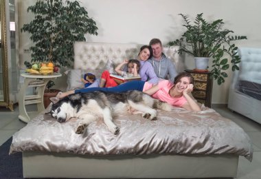 Anne, baba ve iki kız hafta sonları evde rahatlar ve köpekle oynarlar. Evde birlikte vakit geçiren ideal aile kavramı.