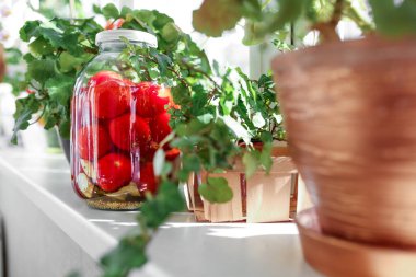 Güneşli balkonda konserve domates.