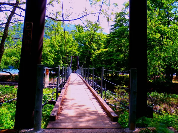 Passerelle métallique mène sur une rivière — Photo