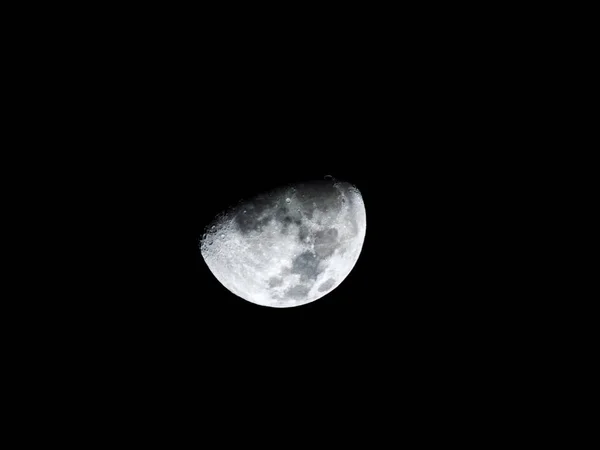 Foie de la lune — Photo