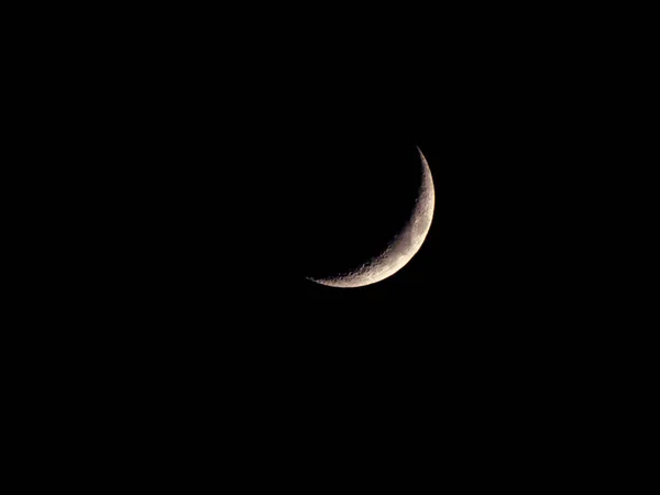 Foie de la lune — Photo