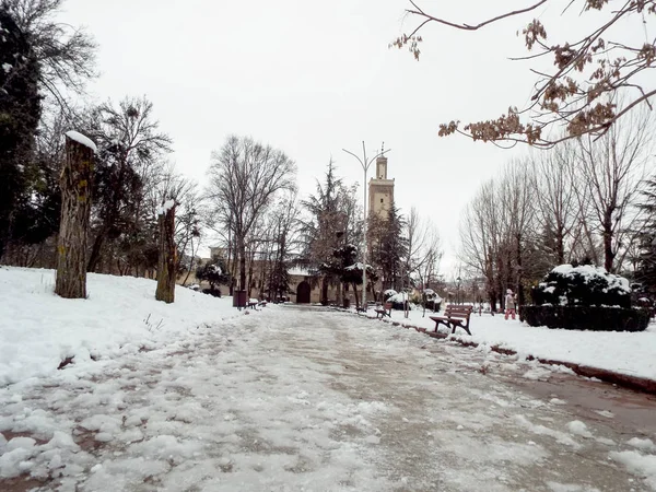 Мечеть в саду покрыта снегом — стоковое фото