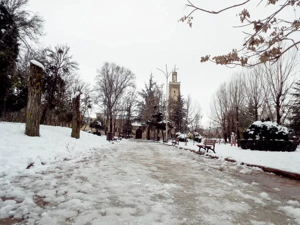 Cami bahçesinde kar kaplı 