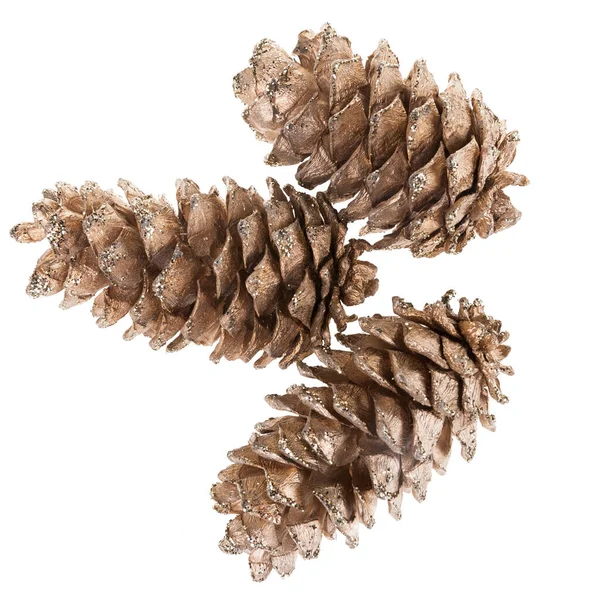 Set Fir Cones White Background — Stock Photo, Image