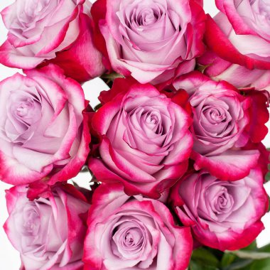 Bir buket pembe gül. Yakın çekim, üst görünüm