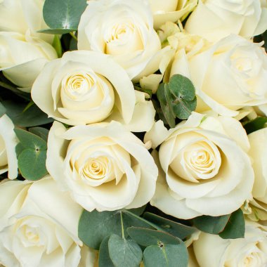 Bir buket beyaz gül. Yakın çekim, üst görünüm