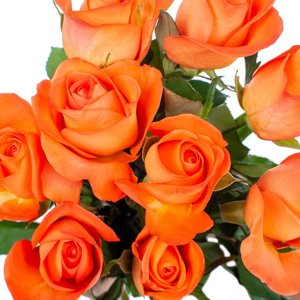 Strauß Orangefarbener Rosen Nahaufnahme Draufsicht — Stockfoto