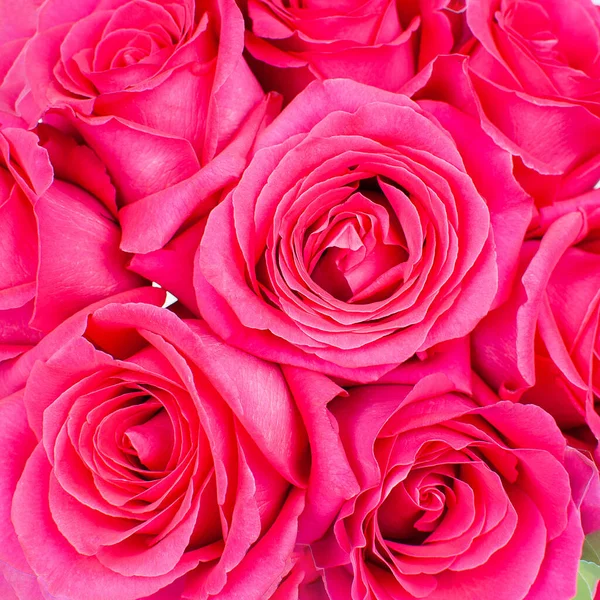 Strauß Rosa Rosen Nahaufnahme Draufsicht — Stockfoto