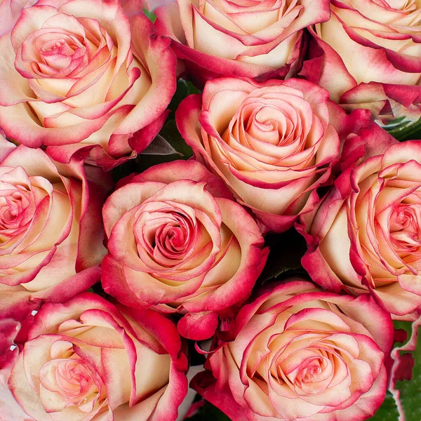 Blumenstrauß Aus Roten Rosen Nahaufnahme Draufsicht — Stockfoto