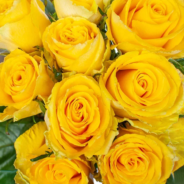 Buquê Rosas Amarelas Close Vista Superior — Fotografia de Stock