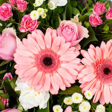 Gerberas 'tan bir buket çiçek. Yakın çekim, üst görünüm