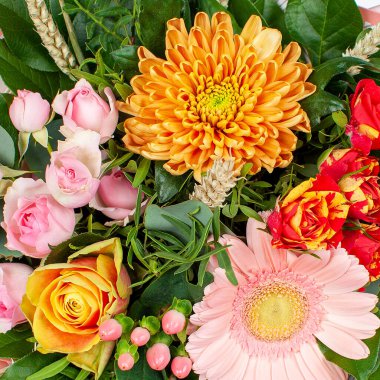 Gerberas güllerinden bir buket gül. Yakın çekim, üst görünüm