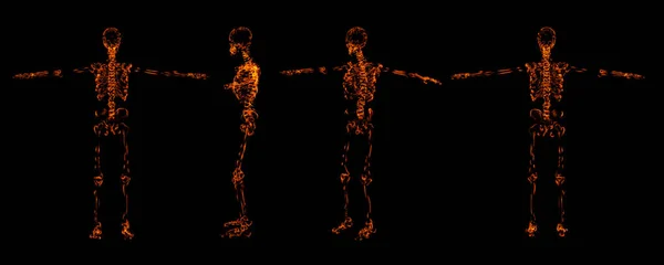 Hueso esqueleto de fuego — Foto de Stock