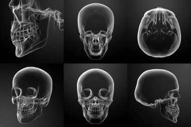 3D rendering illustration of the skull  clipart