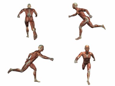 kas sistemi 3D render çizimi 