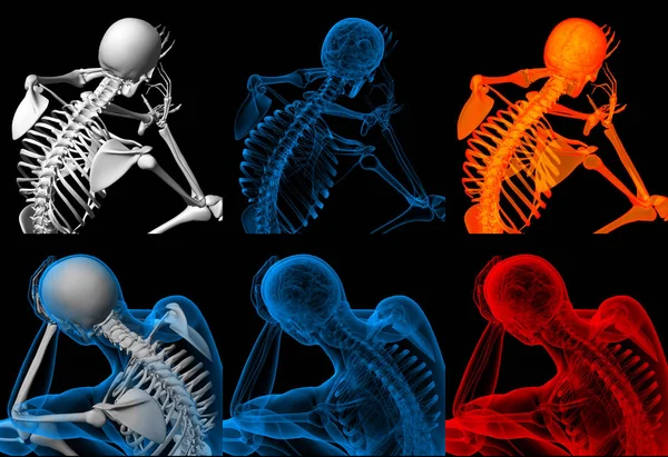 3D рендеринг скелет сидя — стоковое фото
