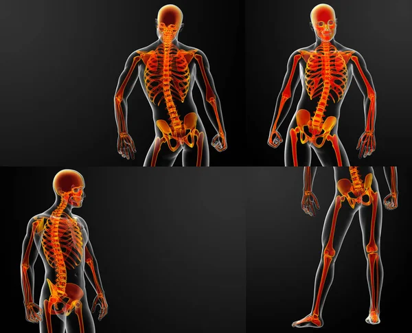 3D rendering red of skeleton — Stock Photo, Image