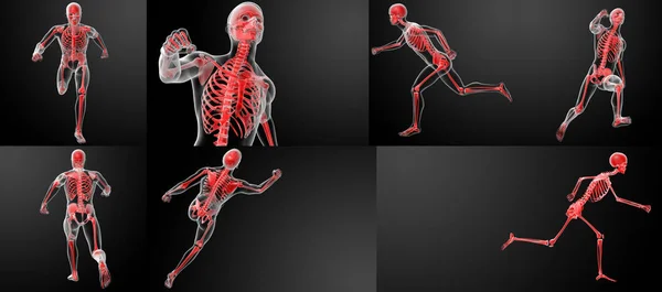 3D vykreslování běh lidské anatomie RTG — Stock fotografie