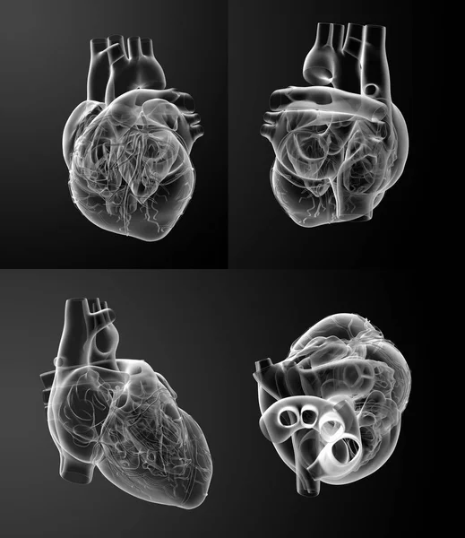 Representación 3D del corazón blanco — Foto de Stock