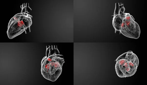 Representación 3D de la válvula cardíaca — Foto de Stock