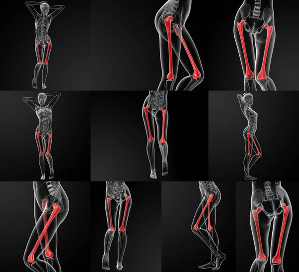 大腿骨の 3 d レンダリング図 — ストック写真