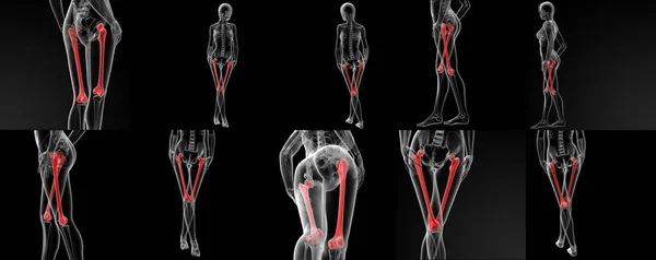 Ilustração de renderização 3D do osso do fêmur — Fotografia de Stock