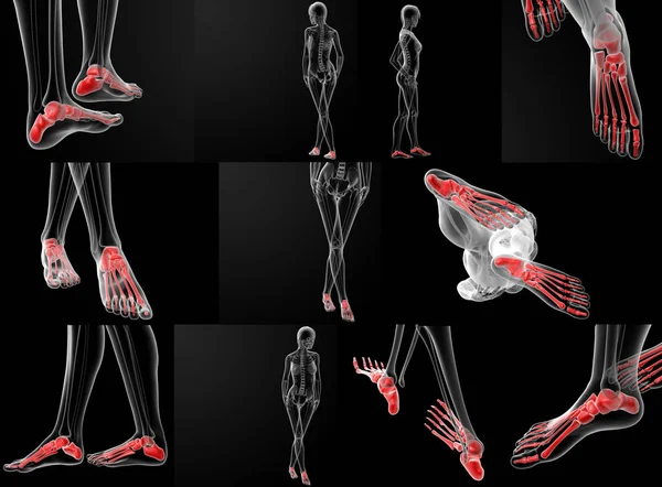 足の骨の 3 d レンダリング図 — ストック写真