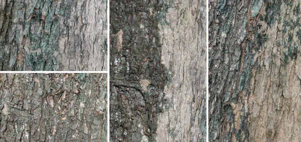 Textura de fondo de madera y abstracto — Foto de Stock