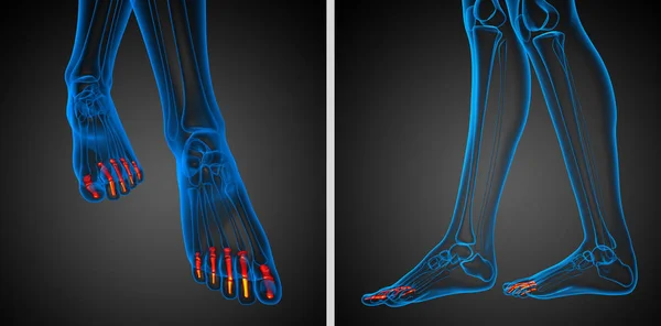 3d representación ilustración del pie falanges humano —  Fotos de Stock