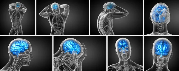 3D rendering medische illustratie van de hersenen — Stockfoto