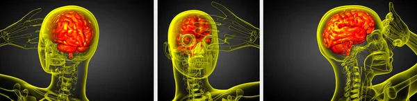 3D renderowania Medycyna ilustracji mózgu — Zdjęcie stockowe
