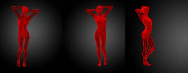 3D rendering illustratie van de menselijke anatomie — Stockfoto