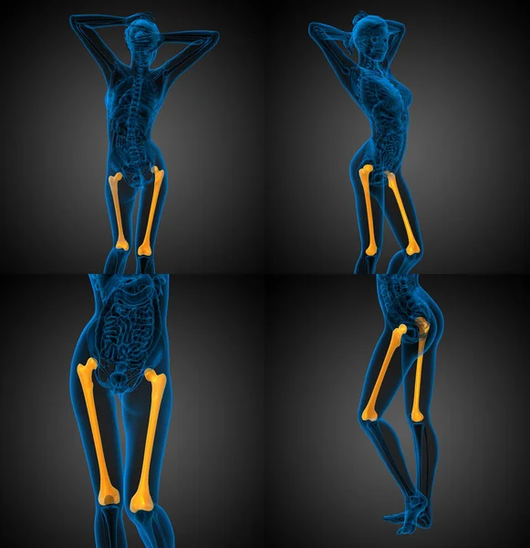 Ilustración médica en 3D del hueso del fémur —  Fotos de Stock