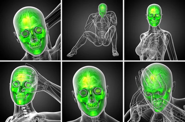 3D-Darstellung der medizinischen Darstellung des Schädels — Stockfoto