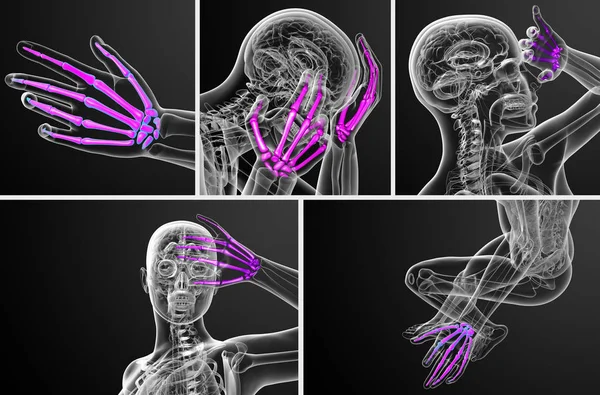 Ilustración de representación 3D de la mano del esqueleto — Foto de Stock