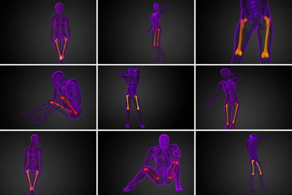 3d rendere illustrazione medica dell'osso del femore — Foto Stock