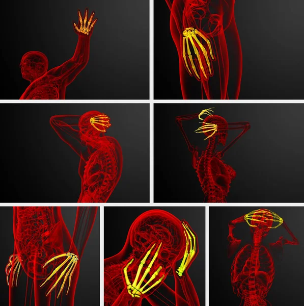 Ilustración de representación 3D de la mano del esqueleto — Foto de Stock