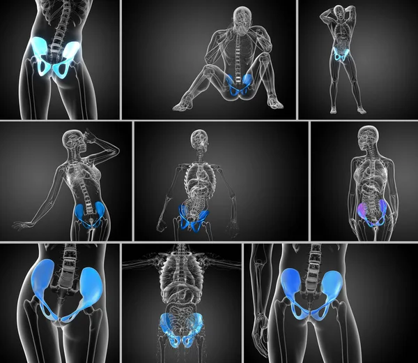 Representación 3D ilustración médica del hueso de la pelvis — Foto de Stock