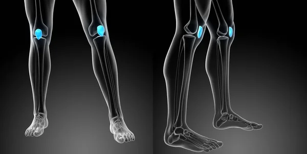 3d renderização ilustração médica do osso patela — Fotografia de Stock