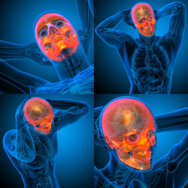3d representación médica ilustración del cráneo humano — Foto de Stock