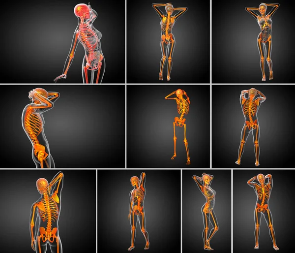 Representación 3D ilustración médica del hueso del esqueleto — Foto de Stock
