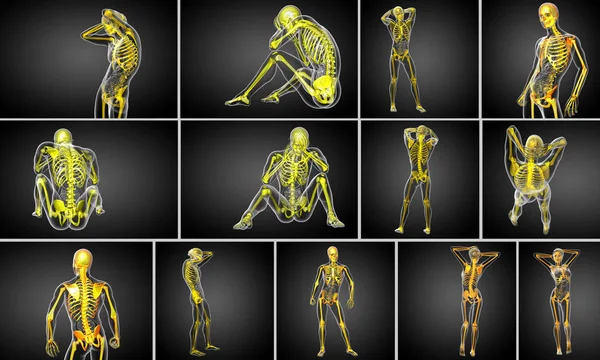 3D vykreslování lékařské ilustrace kosti, kostra — Stock fotografie