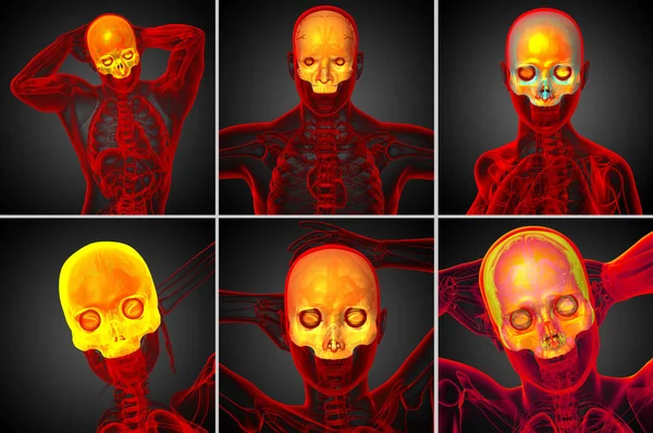 3D renderowania Medycyna ilustracji górnej czaszki — Zdjęcie stockowe