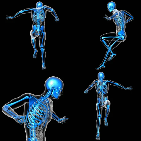 3D rendering medicinsk illustration av skelettet — Stockfoto
