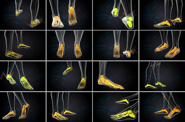 3D renderowania ilustracja kości stóp — Zdjęcie stockowe