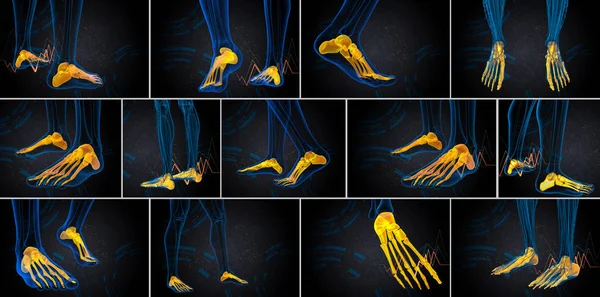 3D-Darstellung medizinischer Darstellung des Fußknochens — Stockfoto